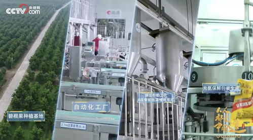 透明工廠再揭面紗 央視鏡頭下的洽洽，如何以技術(shù)內(nèi)核引領(lǐng)堅(jiān)果行業(yè)新鮮革命
